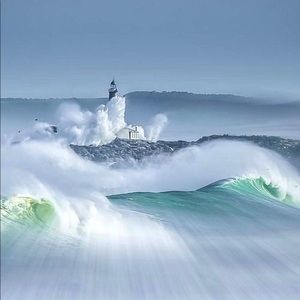 Meet your Posher, Rausha